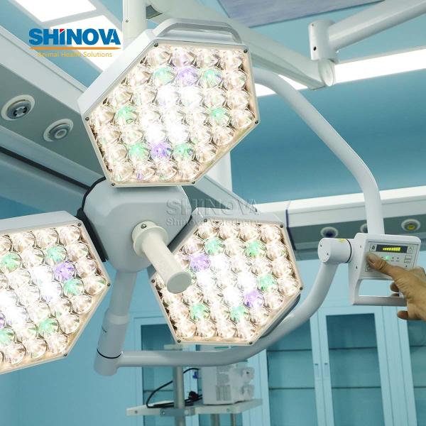 Veterinary LED Surgical Light
