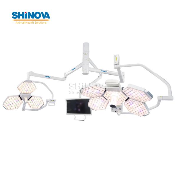 Veterinary LED Surgical Light
