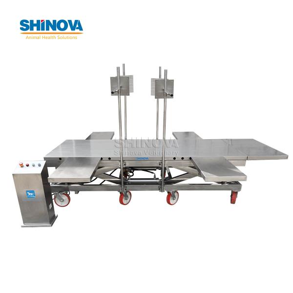 Equine Operating Table