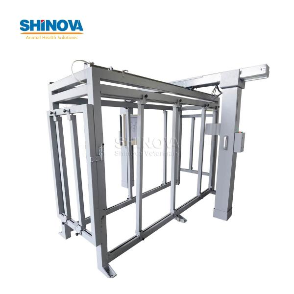 Large Animal DR System for Equine and Bovine Abdominal Imaging