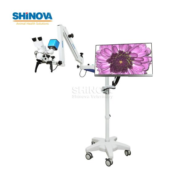 Veterinary Operating Microscope (for Dental and Ophthalmic)