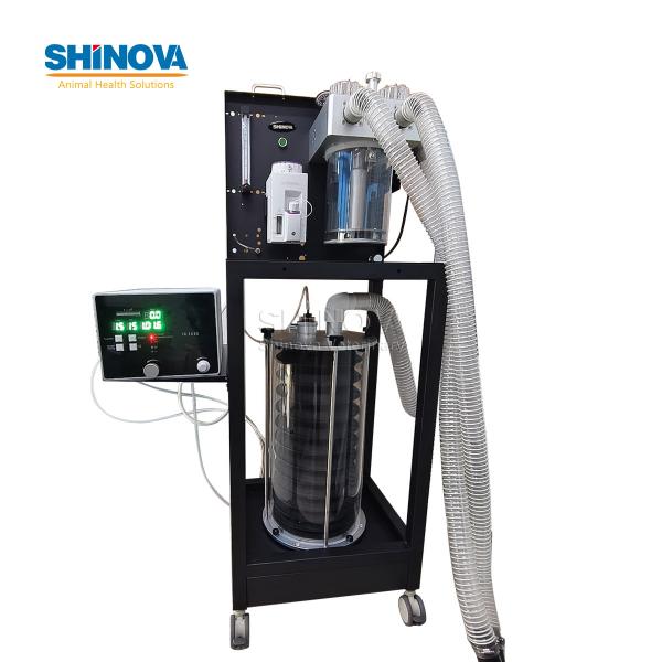 Large Animal Equine Anesthesia Ventilator