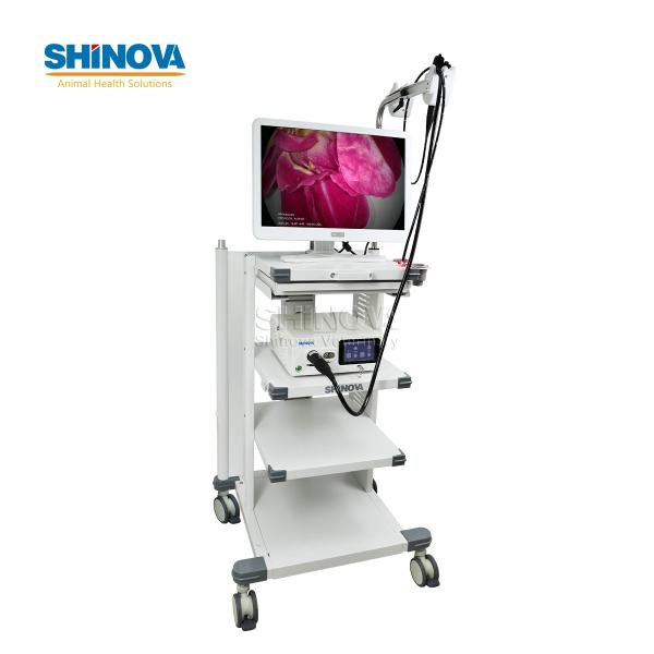 1.5-Meter Veterinary Endoscopy Tower System