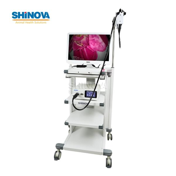 1.5-Meter Veterinary Endoscopy Tower System