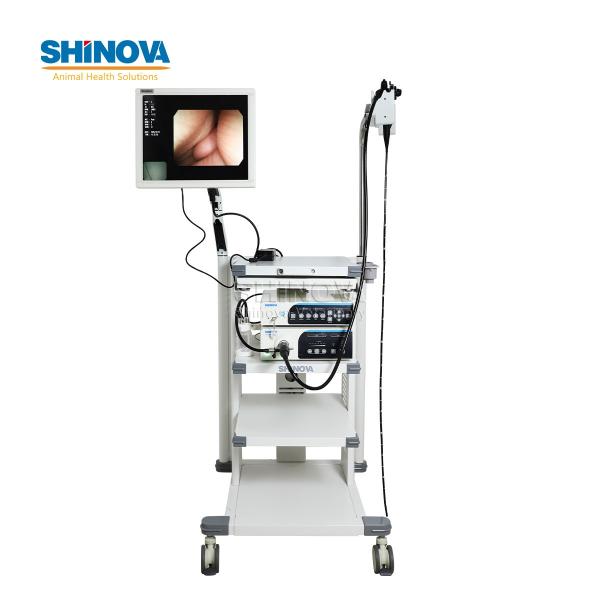 1.5-Meter Veterinary Endoscopy Tower System