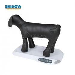 Pet Scale