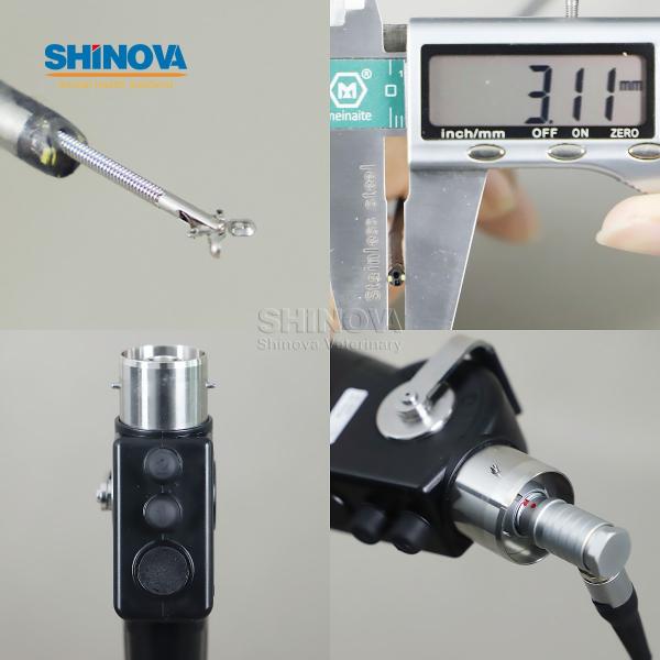 High-definition Veterinary Video Endoscope