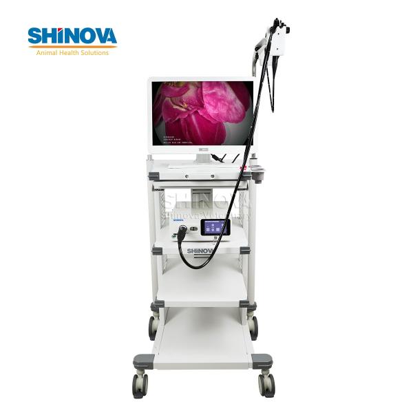 1.2-Meter Veterinary Endoscopy Tower System