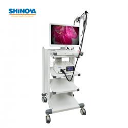 1.2-Meter Veterinary Endoscopy Tower System