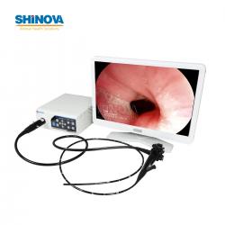 1.2-Meter Veterinary Endoscopy Tower System