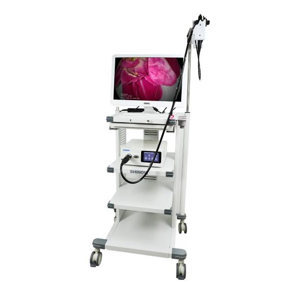 1.2-Meter Veterinary Endoscopy Tower System