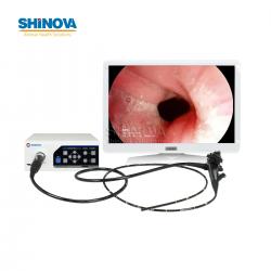 1.2-Meter Veterinary Endoscopy Tower System