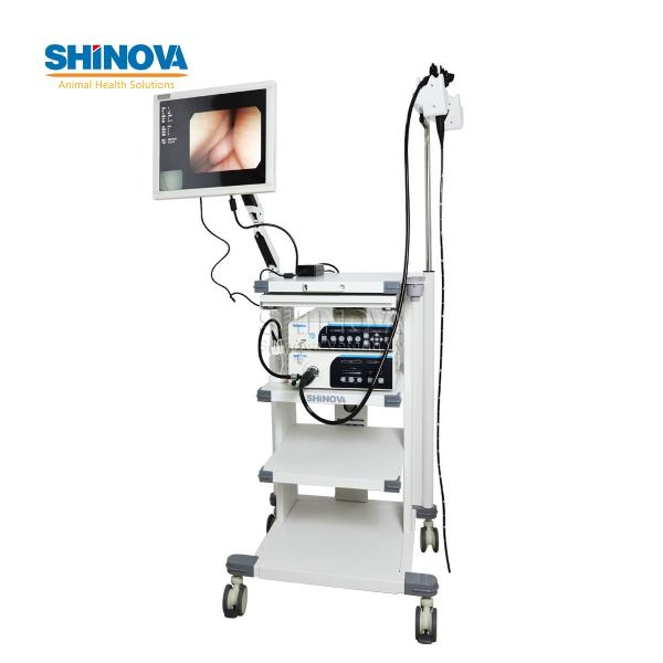 1.2-Meter Veterinary Endoscopy Tower System