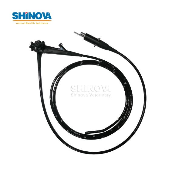 3.3-Meter Veterinary Endoscopy Tower System