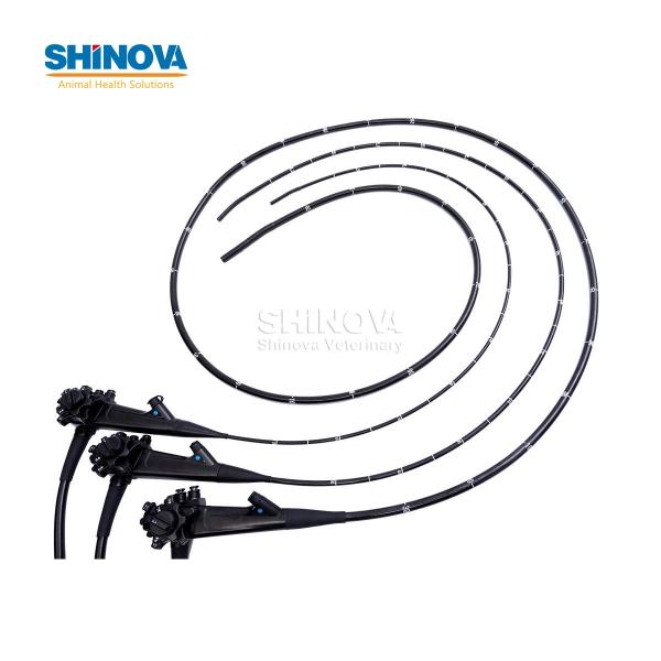 3.3-Meter Veterinary Endoscopy Tower System