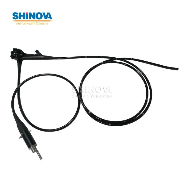 3.0-Meter Veterinary Endoscopy Tower System