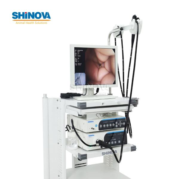 3.0-Meter Veterinary Endoscopy Tower System