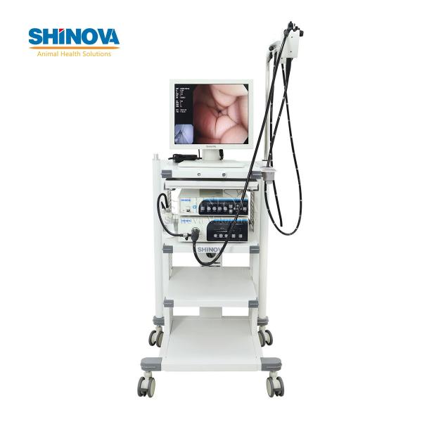 3.0-Meter Veterinary Endoscopy Tower System