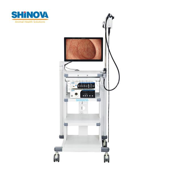 1.5-Meter Veterinary Endoscopy Tower System