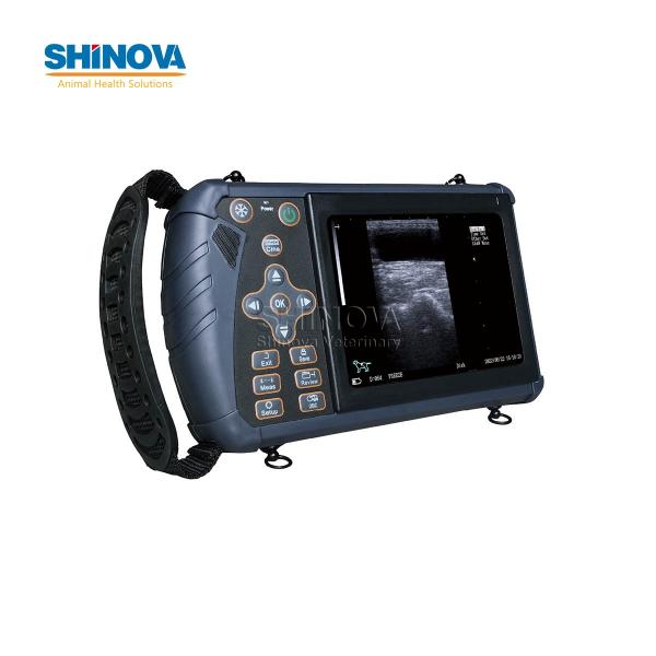 Portable Veterinary Ultrasound Scanner for Large Animal Pregnancy Detection
