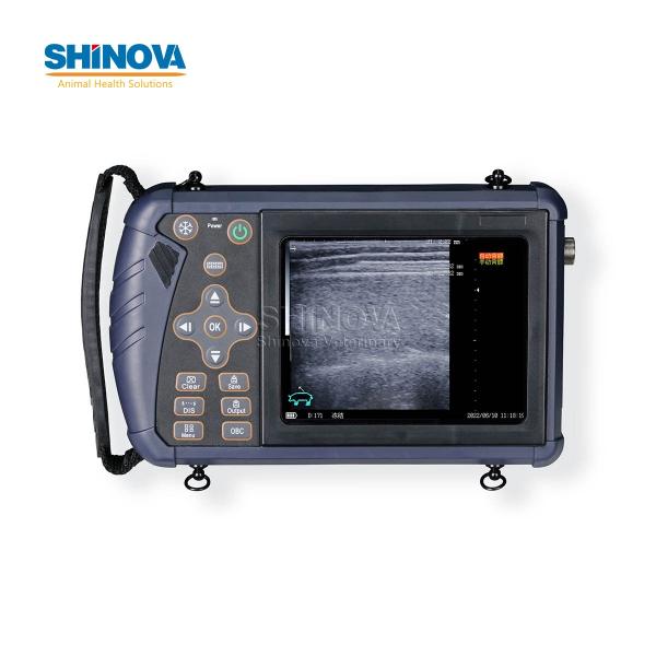 Portable Veterinary Ultrasound Scanner for Large Animal Pregnancy Detection