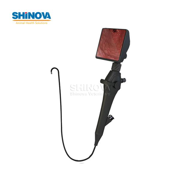 Handheld High-definition Equine Bronchoscope