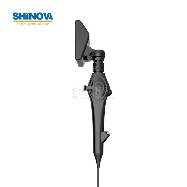 Handheld High-definition Equine Bronchoscope