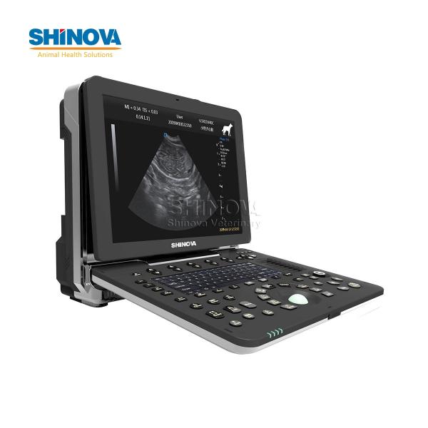 Portable Veterinary Color Doppler Ultrasound Scanner