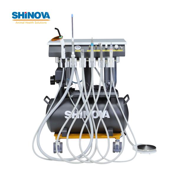 Animal Dental Treatment Workstation