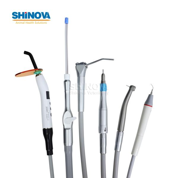 Animal Dental Treatment Workstation
