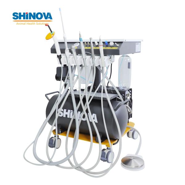 Animal Dental Treatment Workstation