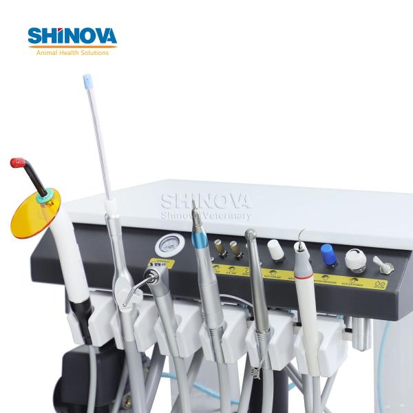 Animal Dental Treatment Workstation