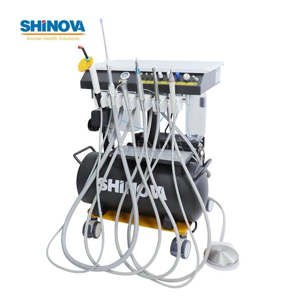 Animal Dental Treatment Workstation