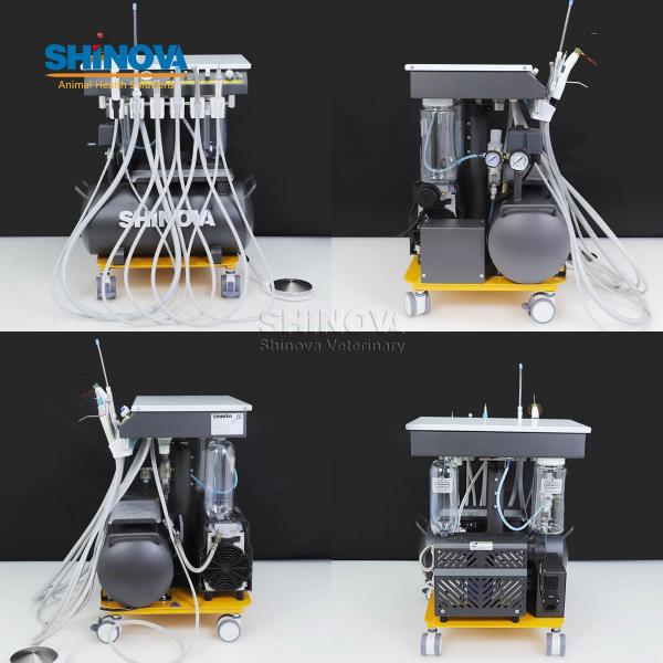 Animal Dental Treatment Workstation