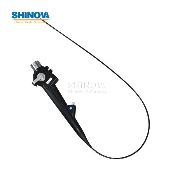 Portable Small Animal Veterinary Video Endoscope System
