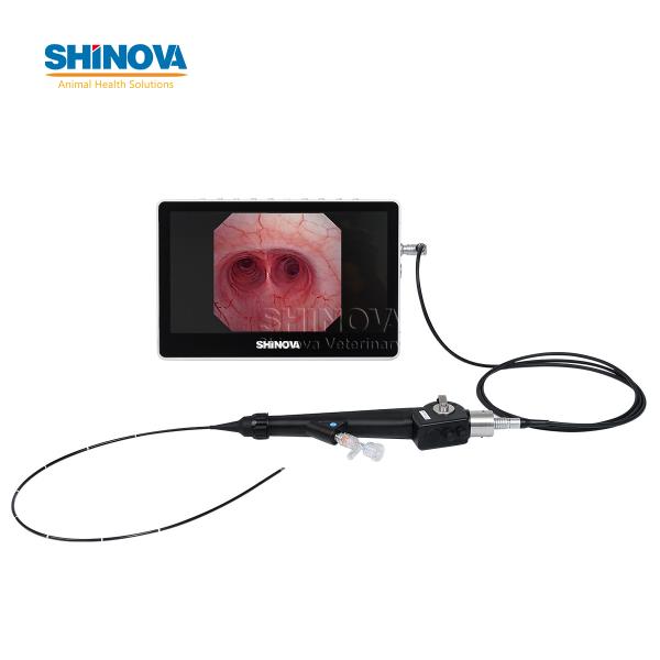 Portable Small Animal Veterinary Video Endoscope System