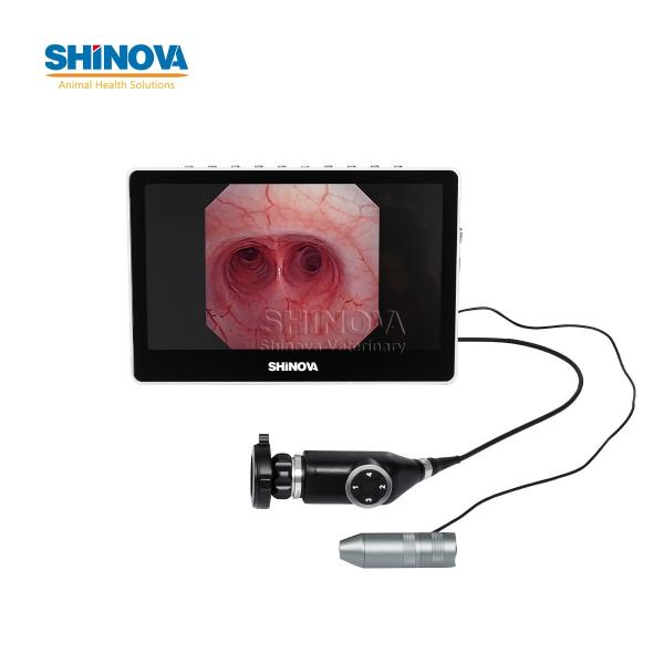 Portable Small Animal Veterinary Video Endoscope System