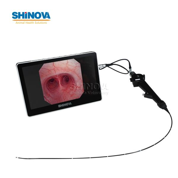 Portable Small Animal Veterinary Video Endoscope System