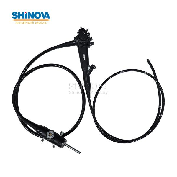 Portable Small Animal Video Gastroscope System