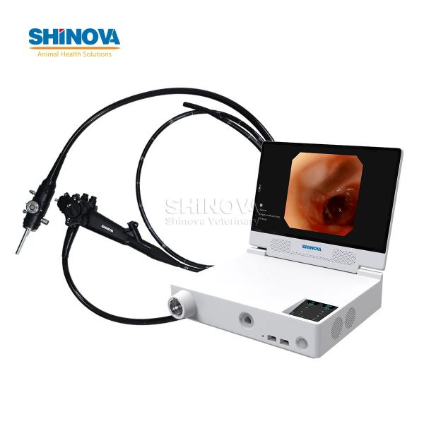 Portable Small Animal Video Gastroscope System
