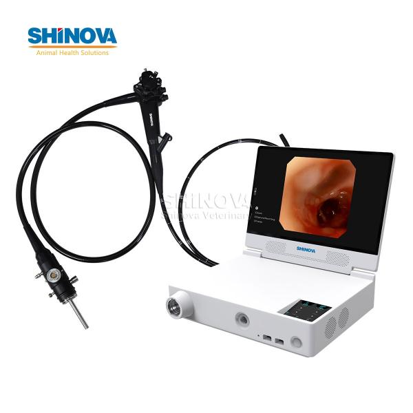 Portable Small Animal Video Gastroscope System