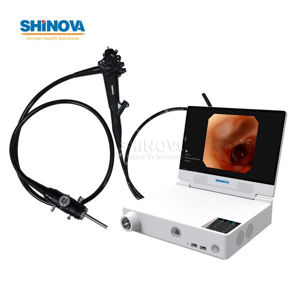 Portable Small Animal Video Gastroscope System