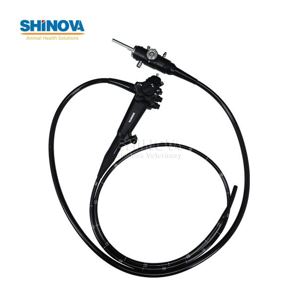 Portable Small Animal Video Gastroscope System