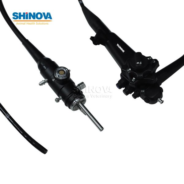 Portable Small Animal Video Gastroscope System