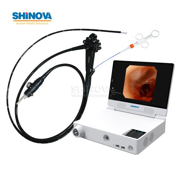Portable Small Animal Veterinary Gastroscope Endoscopy System