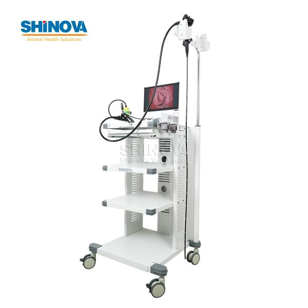Portable Small Animal Veterinary Gastroscope Endoscopy System