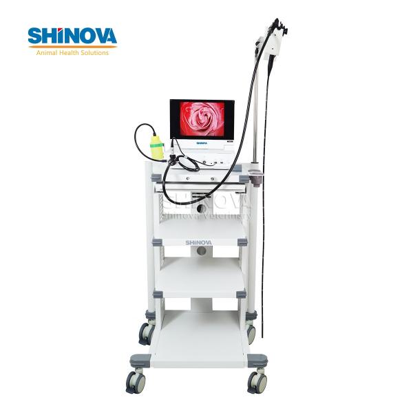 Portable Small Animal Veterinary Gastroscope Endoscopy System