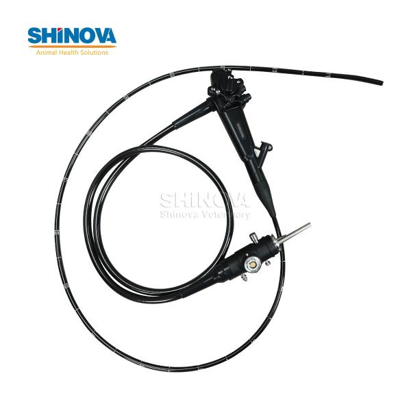 Portable Small Animal Veterinary Gastroscope Endoscopy System