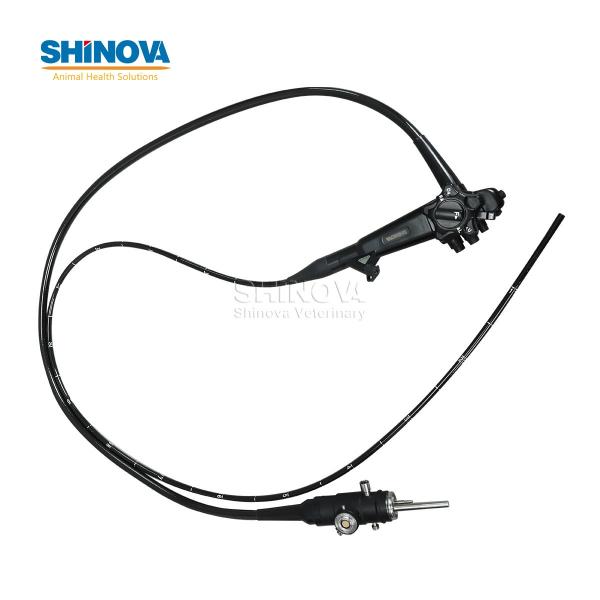 Portable Small Animal Veterinary Gastroscope Endoscopy System