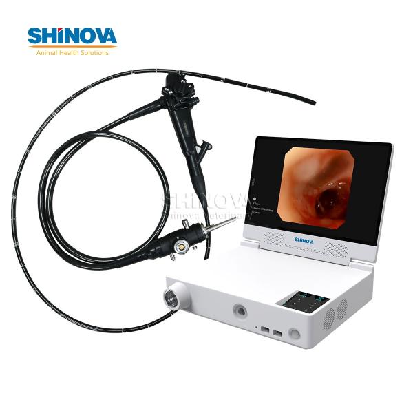 Portable Small Animal Veterinary Gastroscope Endoscopy System